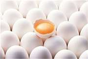  نظارت بهداشتی بر صادرات بیش از ۲۴۰ تن تخم مرغ در شهرستان دیر