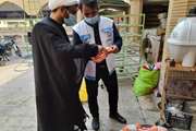 گزارش تصویری از نظارت های بهداشتی و شرعی ویژه روزهای تاسوعا و عاشورا در استان بوشهر