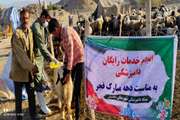 گزارش تصویری از فعالیت های گروههای جهادی دامپزشکی استان بوشهر در ایام اله دهه فجر