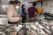 مراکز عرضه فرآورده‌های خام دامی بوشهر زیر ذره‌بین دامپزشکی