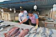 بازدید مشترک نظارتی از ماهی فروشان شهرستان دیلم