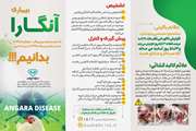 بروشور آموزشی و ترویجی در خصوص بیماری آنگارا
