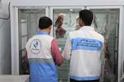 گزارش تصویری از گشت مشترک بهداشتی دامپزشکی و علوم پزشکی در بوشهر