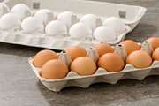 افزایش  15 درصدی تناژ تخم مرغ خوراکی وارده به شهرستان دشتی نسبت به سال گذشته