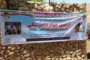 ویدئو کلیپ اردوی جهادی دامپزشکی در روستاهای شهرستان دشتستان بخش تنگ ارم ، روستاهای پشت پر و رونی