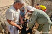 گزارش تصویری از اردوی جهادی دامپزشکی در روستای خائیز شهرستان تنگستان