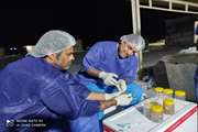 نظارت بهداشتی قرنطینه ای دامپزشکی بر ورود اولین محموله میگو مولد SPF به  استان بوشهر