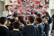 آشنایی دانش آموزان با وظایف دامپزشکی در تنگستان
