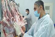 اجرای قاطع ساماندهی کشتار دام در استان بوشهر 