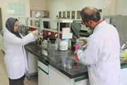 ثبت رکورد انجام ۱۶۳ هزار آزمایش تخصصی در آزمایشگاه‌های دامپزشکی بوشهر / گامی بلند در مسیر تضمین سلامت سفره مردم و رونق صادرات