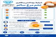 مشخصات بهداشتی و ظاهری تخم مرغ سالم
