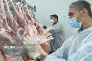 کشتارگاه‌های دام و طیور استان بوشهر با تمام توان فعالیت دارند