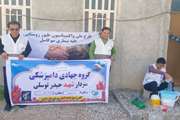 اجرای طرح واکسیناسیون طیور روستایی علیه بیماری نیوکاسل در روستاهای شهرستان دشتی