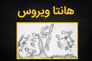 هانتاویروس چیست؟