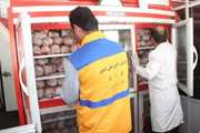معدوم سازی بیش از 4 تن فرآورده خام دامی غیر بهداشتی در 6 ماه ابتدای سالجاری 