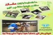 اقدام علمی – ترویجی دامپزشکی کاکی