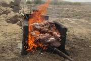 معدوم سازی 200 كیلوگرم جگر گوساله و چربی احشایی غیر قابل مصرف در استان بوشهر