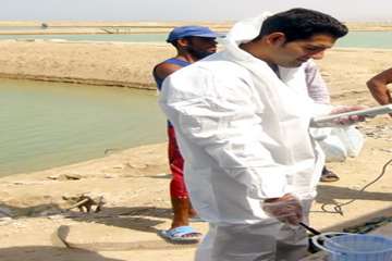 اقدامات نظارتی دامپزشکی استان بوشهر در مزارع پرورش میگو