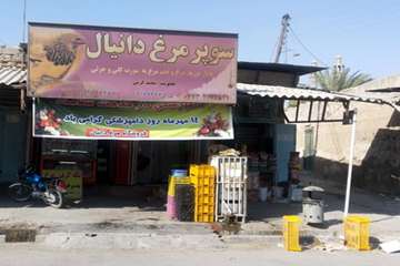 اهم فعالیتهای شبکه دامپزشکی شهرستان دشتستان در هفته دامپزشکی