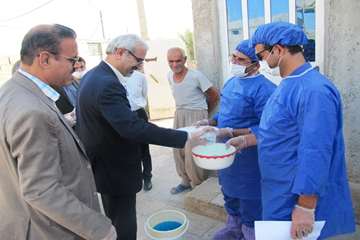 واکسیناسیون نیوکاسل طیور روستایی
