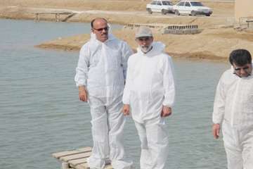 سفر رییس سازمان دامپزشکی کشور به استان بوشهر