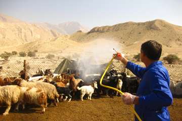 مانور پدافند غیر عامل در شهرستان دشتی