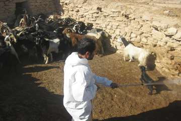 اجرای طرح پدافند غیرعامل در منطقه شبانکاره شهرستان دشستان 