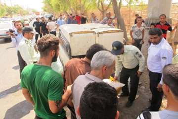 جمع‌آوری دست‌فروشان میگو در بوشهر