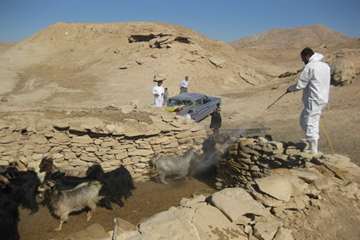 اجرای طرح پدافند غیرعامل در منطقه شبانکاره شهرستان دشستان 