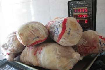 معدوم سازی مرغ و جگر تاریخ گذشته در شهرستان دیر