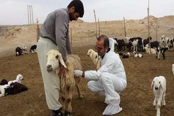 بیماری یابی به مناسبت دهه فجر در شهرستان دشتستان