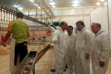 بازدید فرماندار دشتستان از کشتارگاه جیان مرغ