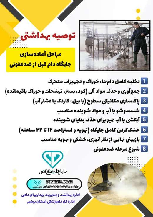 ترتیب مراحل آماده‌سازی جایگاه دام قبل از ضدعفونی به‌صورت علمی 