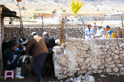 گزارش تصویری از اردوی جهادی دامپزشکی در شهرستان دشتستان به مناسبت هفته بسیج