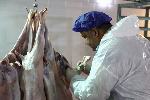 گزارش تصویری نظارت بهداشتی و شرعی در روز عید سعید قربان