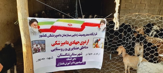 گفت‌وگوی کشاورز نیوز با مدیر کل دامپزشکی استان بوشهر در خصوص اردوی جهادی شهید جمهور