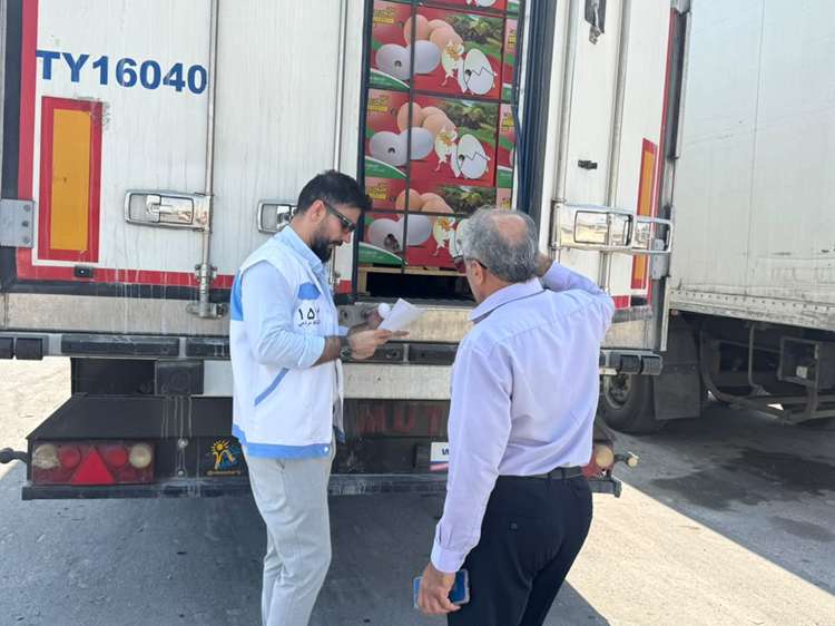نظارت بهداشتی بر صادرات بیش از 300 تن تخم‌مرغ خوراکی از بندر دیر به قطر