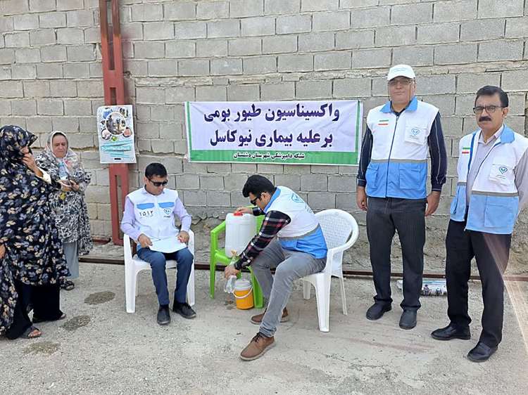 طرح واکسیناسیون طیور بومی علیه بیماری نیوکاسل در دشتستان اجرا شد