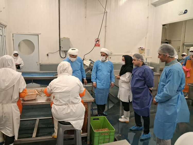 تأکید نمایندگان ولی‌فقیه بر رعایت موازین شرعی و بهداشتی در فرآوری آبزیان بوشهر