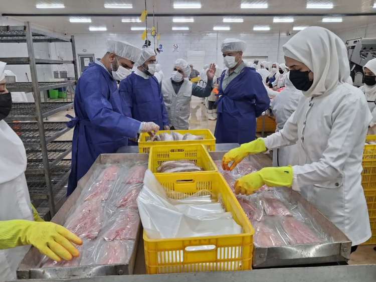 کد حلال و استانداردهای صادراتی؛ محور الزامات واحدهای فرآوری آبزیان بوشهر