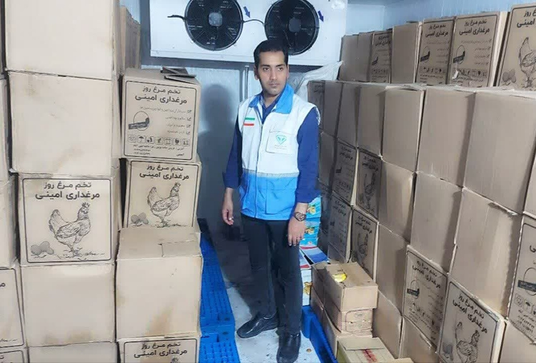 ضبط محموله ۴.۵ تنی تخم‌مرغ خوراکی طی نظارت بهداشتی-قرنطینه‌ای در شهرستان عسلویه