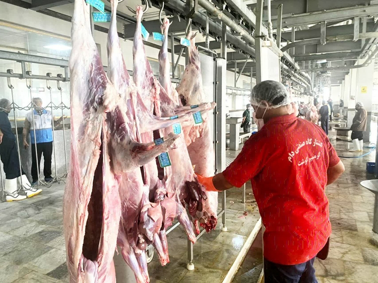 بازرسی کشتارگاه صنعتی دام گرمسیری جهت بررسی وضعیت بهداشت گوشت استان