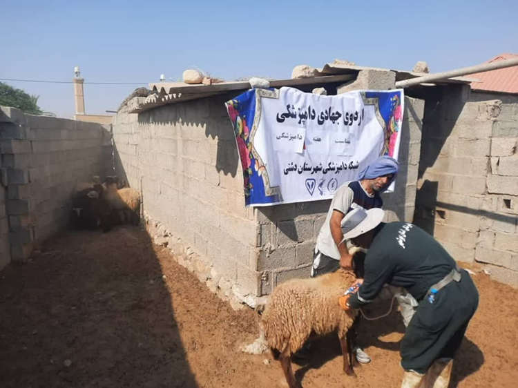 اردوی جهادی دامپزشکی در روستای واروی شهرستان دشتی برگزار شد