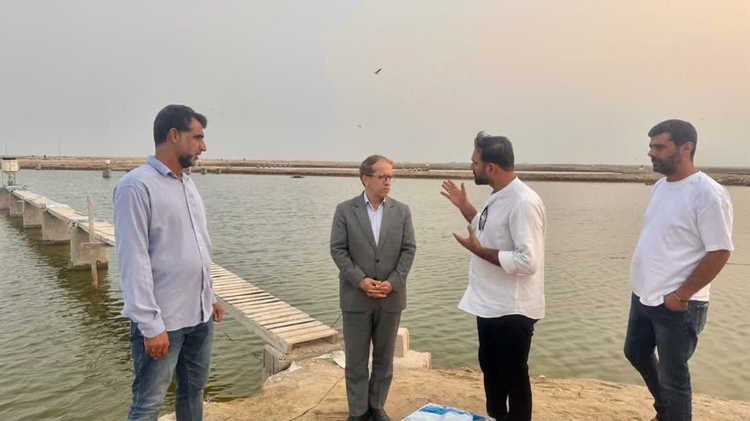 بازدید فرماندار شهرستان دیر از سایت پرورش میگو بردستان