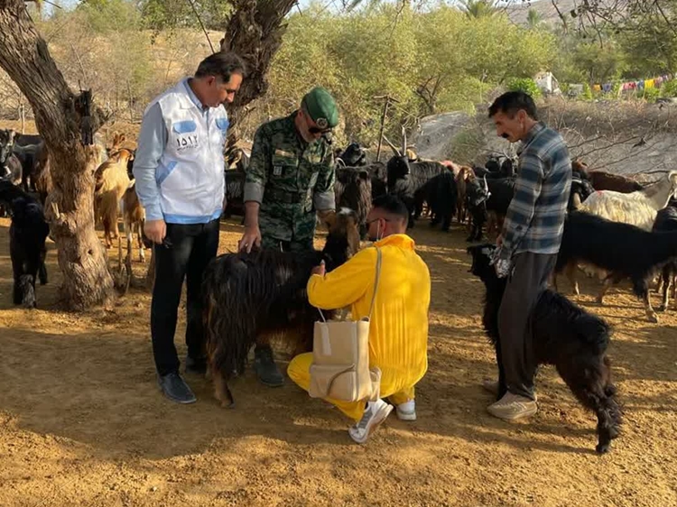 خدمات رایگان دامپزشکی در قالب اردوی جهادی در شهرستان دشتستان انجام شد 