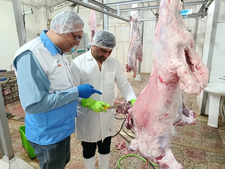 پایان طرح تشدید نظارت بهداشتی و شرعی دامپزشکی در شهرستان دشتستان