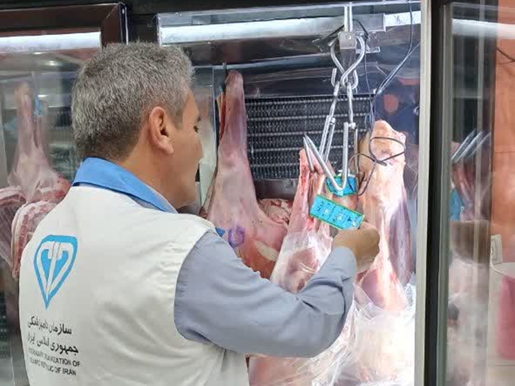 پایان طرح تشدید نظارت بهداشتی و شرعی دامپزشکی در شهرستان جم