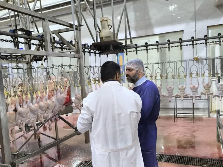 بازدید بازرسی و نظارت شرعی از کشتارگاه طیور «ضامن آهو» در گناوه؛ تأکید بر رعایت اصول ذبح شرعی و برنامه‌های معنوی