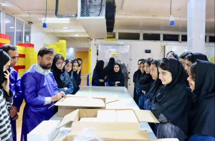 آشنایی دانش‌آموزان دیر با نقش دامپزشکی در سلامت محصولات آبزیان